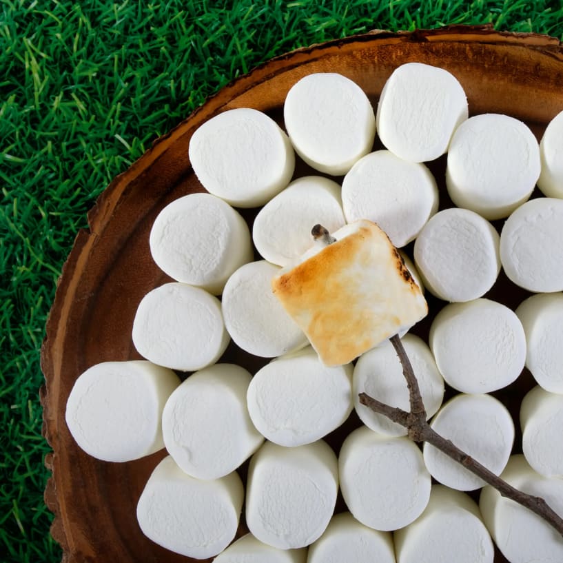 Everyone Wants S’mores of Backyard Togetherness