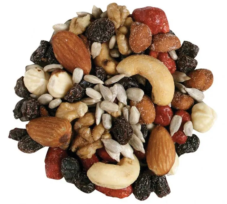 Nassau Candy Champion’s Mix with dried fruit, almonds, cashews, walnuts, pistachios, and pumpkin seeds