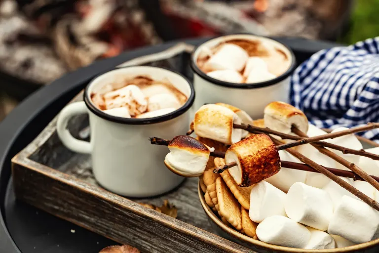 Hot Cocoa and Marshmallows